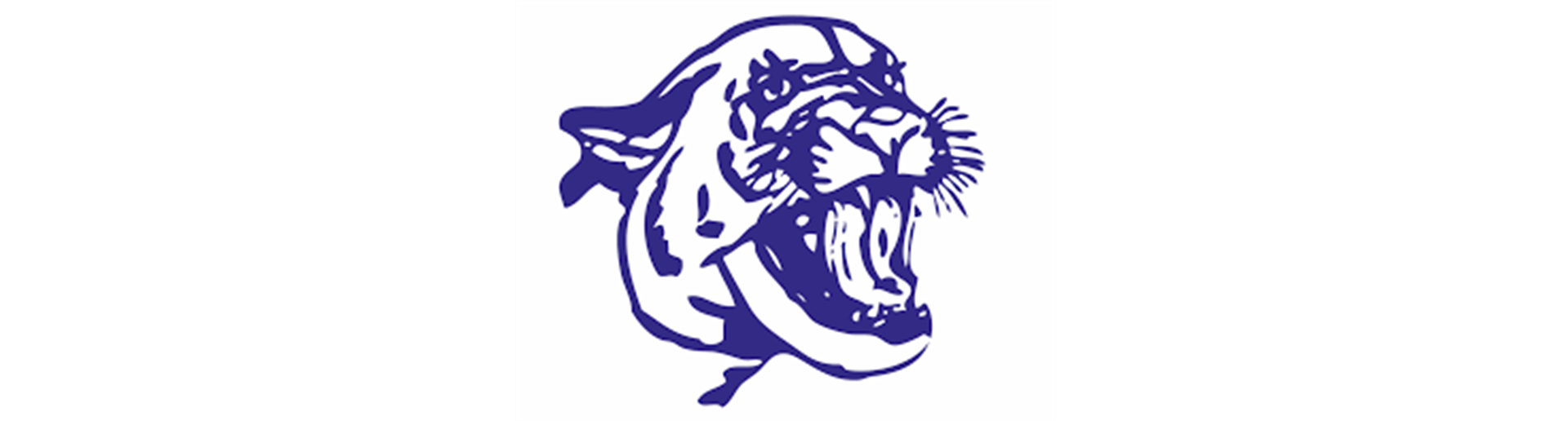 Bloomington South Boys Basketball Schedule 2024-25